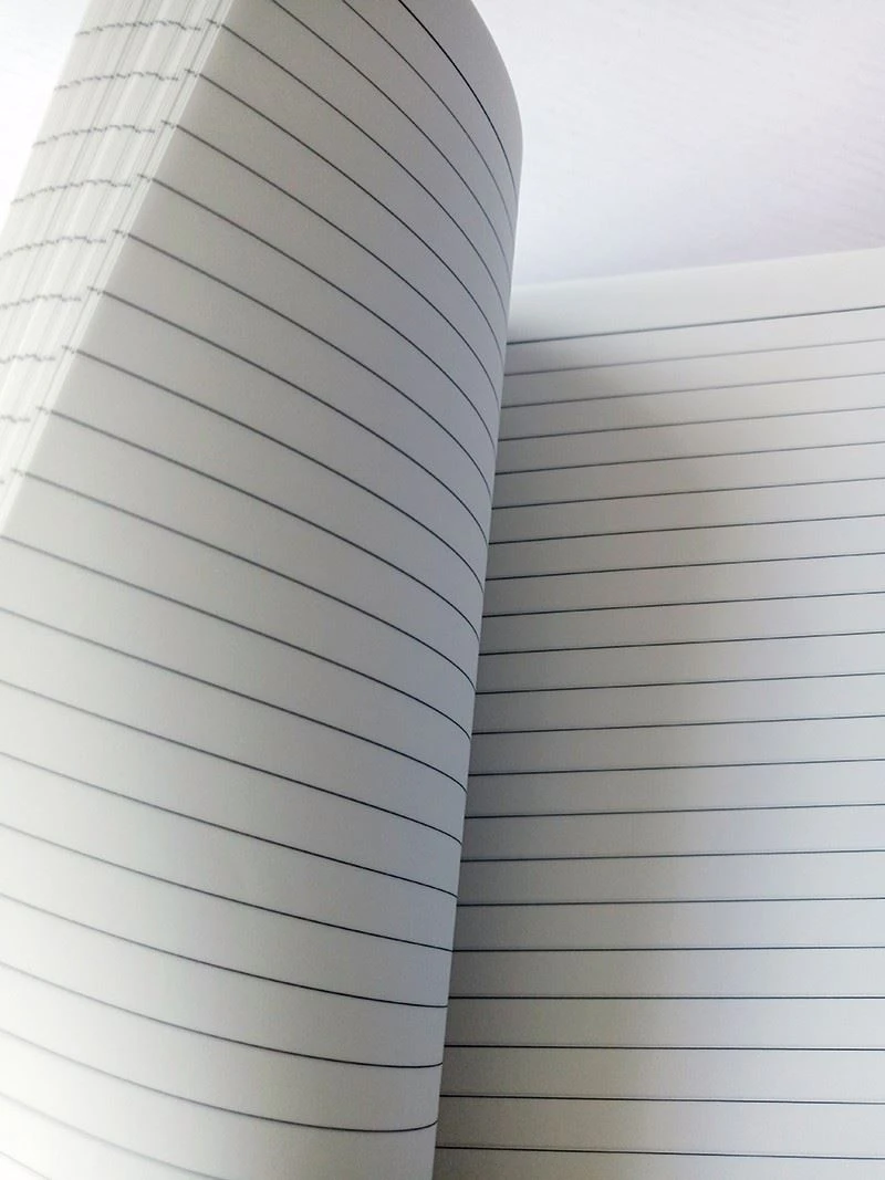 Coil notepad