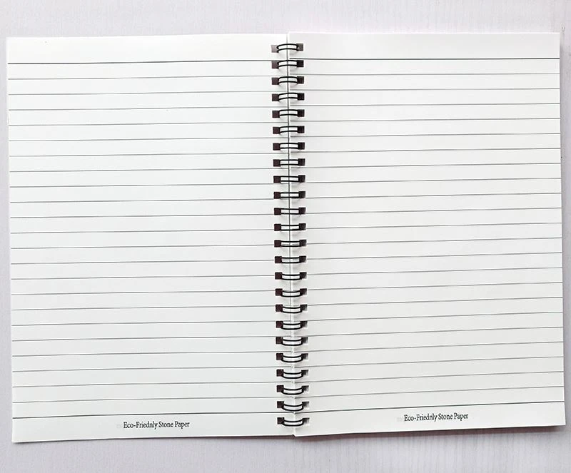 Daily record book